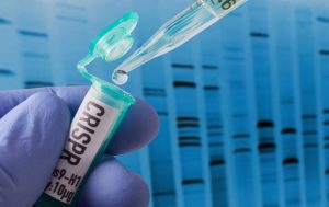 Report Finds DNA Collected From Detained Anti-ICE Protesters