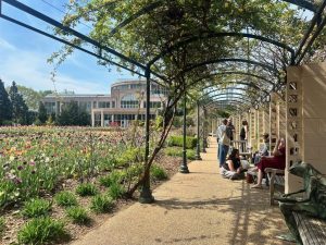 Can resilient parks help save the world? Park Pride tackles climate change at annual conference