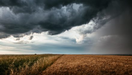 Calm the Volatility Storm With These 2 ETFs