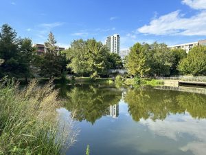 Justin Cutler to exit as Atlanta Parks and Rec commissioner