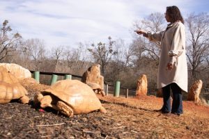 The bumpy road to bring Noah’s Ark Animal Sanctuary into a new and improved era