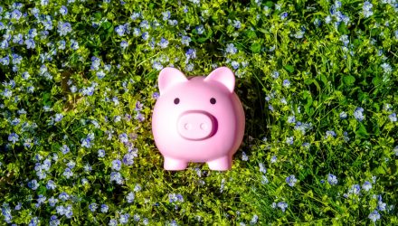 Avert Interest Rate Jitters With This Cash ETF