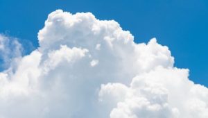 Cloud & E-Commerce Gains Lift OGIG in July