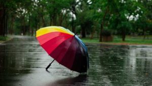 Do You Know Your Risk Tolerance?